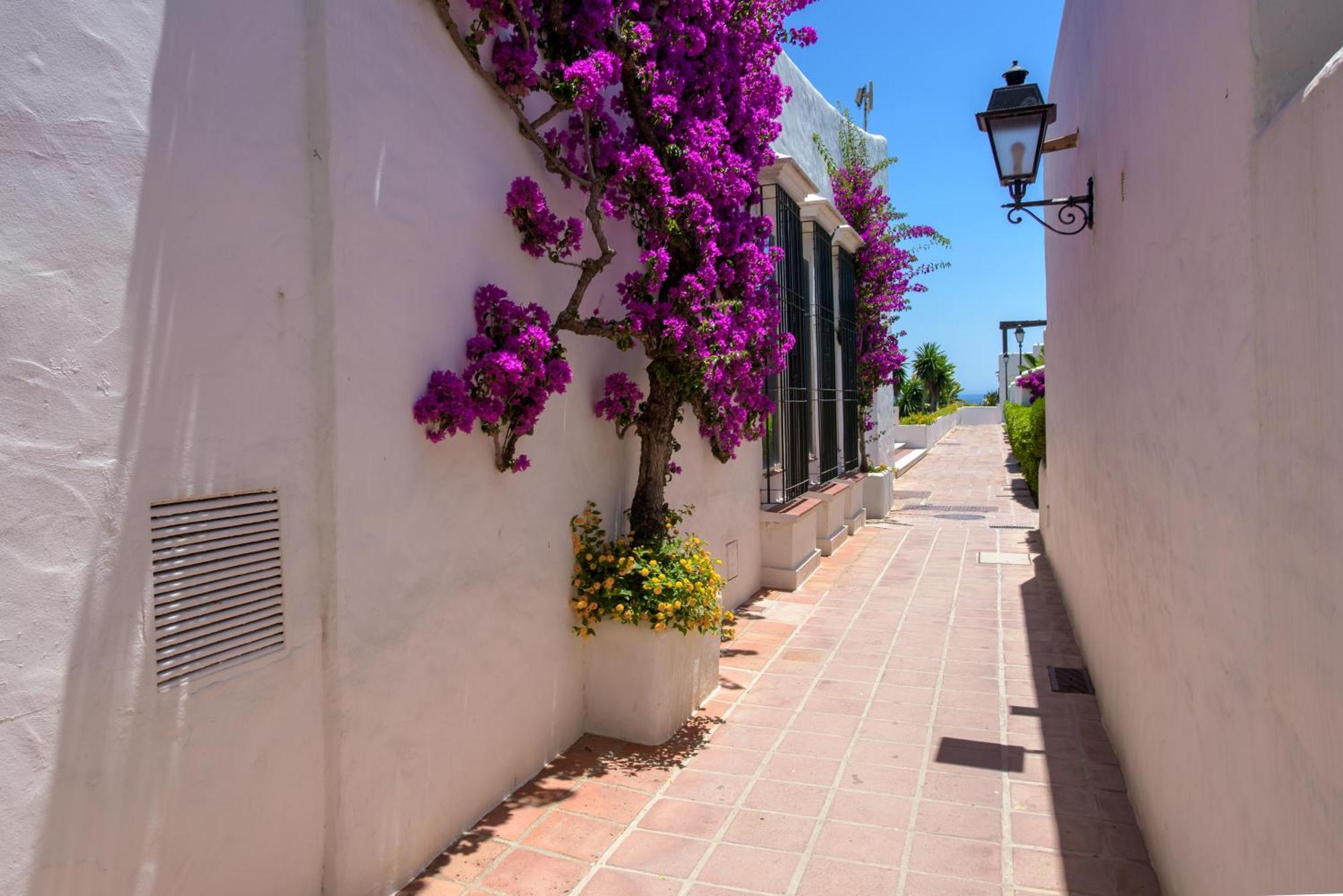 Villacana Сasa de vacaciones Estepona
